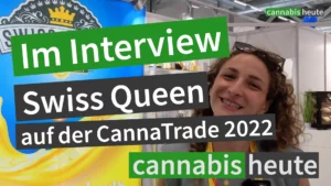 Cannabis Heute: Interview Swiss Queen Cannatrade (Titelbild)
